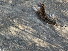 -石家庄市动物园