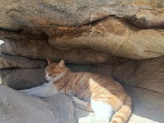 -终南山南五台景区