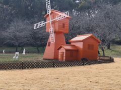 -苏州上方山国家森林公园