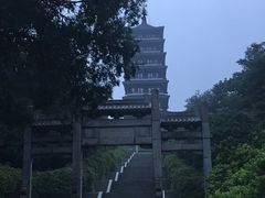 -宜兴龙背山森林公园