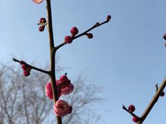 -尚贤河湿地