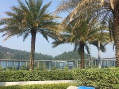 -中国移动南方基地