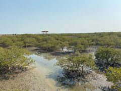 -北海金海湾红树林生态旅游区