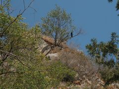 -北京鹫峰国家森林公园