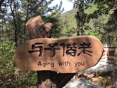 -燕窝岭