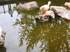 -昆明动物园