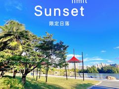 -大宁公园