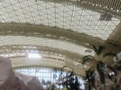 -杭州开元森泊度假乐园