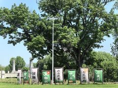 -西山漾湿地公园