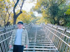 -福道