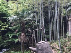 -南尖岩
