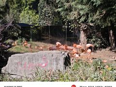 -云南野生动物园