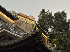 -荔湾湖公园