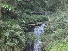 -蜀南竹海景区