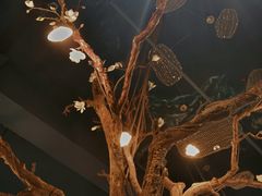 -梧桐树下(云锦世家店)