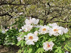 -江南大学(蠡湖校区)