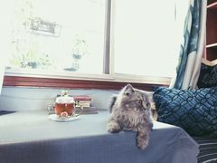 -万小咖.猫咖(中山路天虹店)