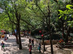 -蝴蝶泉公园