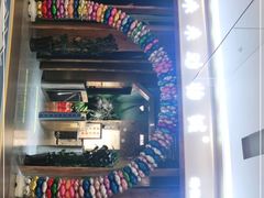 -昆明大悦城未来动物城(螺蛳湾中心店)