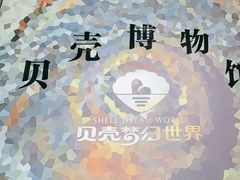 -贝壳梦幻世界