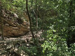 -大岭沟猕猴桃谷风景区