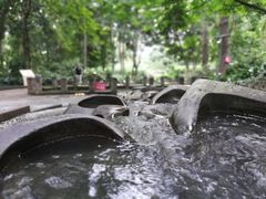 -成都市活水公园