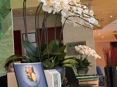 -广州白云机场雅高铂尔曼大酒店