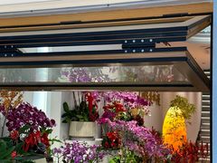 -溪岸路花鸟市场