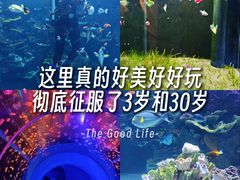 -欢乐海岸海洋奇梦馆
