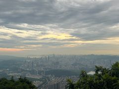 -梧桐山风景名胜区