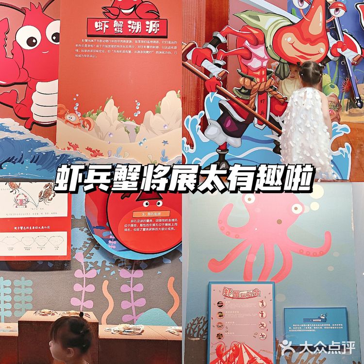 广州探馆|夏日遛娃好去处|免费带娃科普虾蟹知识  
