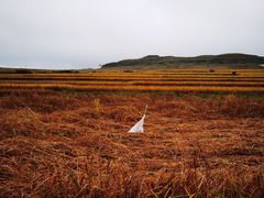 -贵州云顶草原民族风情园