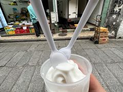 -洪馨椰子