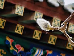 -护国法轮寺