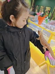 -神奇动物撸宠馆·羊驼·小浣熊·异宠(豫园店)
