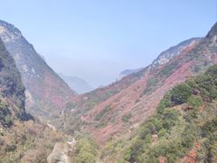 -少华山国家森林公园