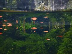 -华夏文旅西安度假区