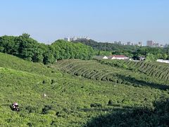 -南山风景名胜区