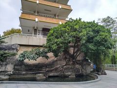 -鹅岭公园瞰胜楼