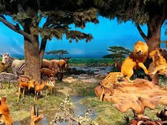 -国家自然博物馆