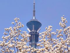 -裕华世纪公园