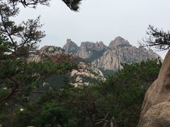 -崂山仰口游览区