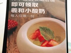 -羲和雅苑•北京烤鸭(陆家嘴中心店)