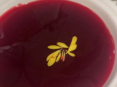 -九鼎轩脆毛肚火锅(三钢里店)