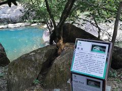 -广州白江湖森林公园