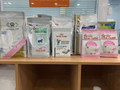 -纳吉亚猫专科动物诊疗中心(蒋宅口分院)