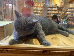 -小时光咖啡馆(开森度假森林店)