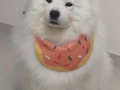 -凤兴鸡煲(宝安海雅店)