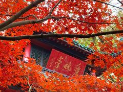 -岳麓山风景名胜区