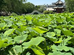 -莲池书院博物馆
